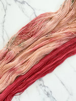Apple Cider – Sock (Sock Set)